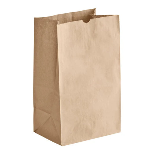 20 LBS KRAFT PAPER BAG 8.2"*5.3"*16.1" CY-SB20